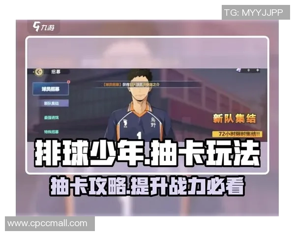 排球新手必看：从基础技能到个人能力全面提升的实用指南