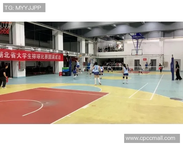 武汉排球队在全国排球战术排行榜中荣登第八名的背后故事与分析 武汉排球队在全国排球战术排行榜中荣登第八名的背后故事与分析